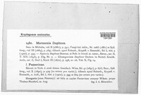 Image Associated With the Occurence